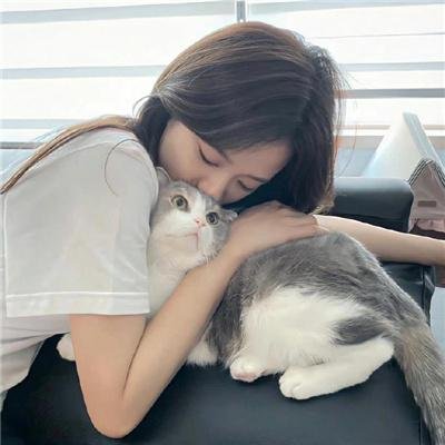 面目